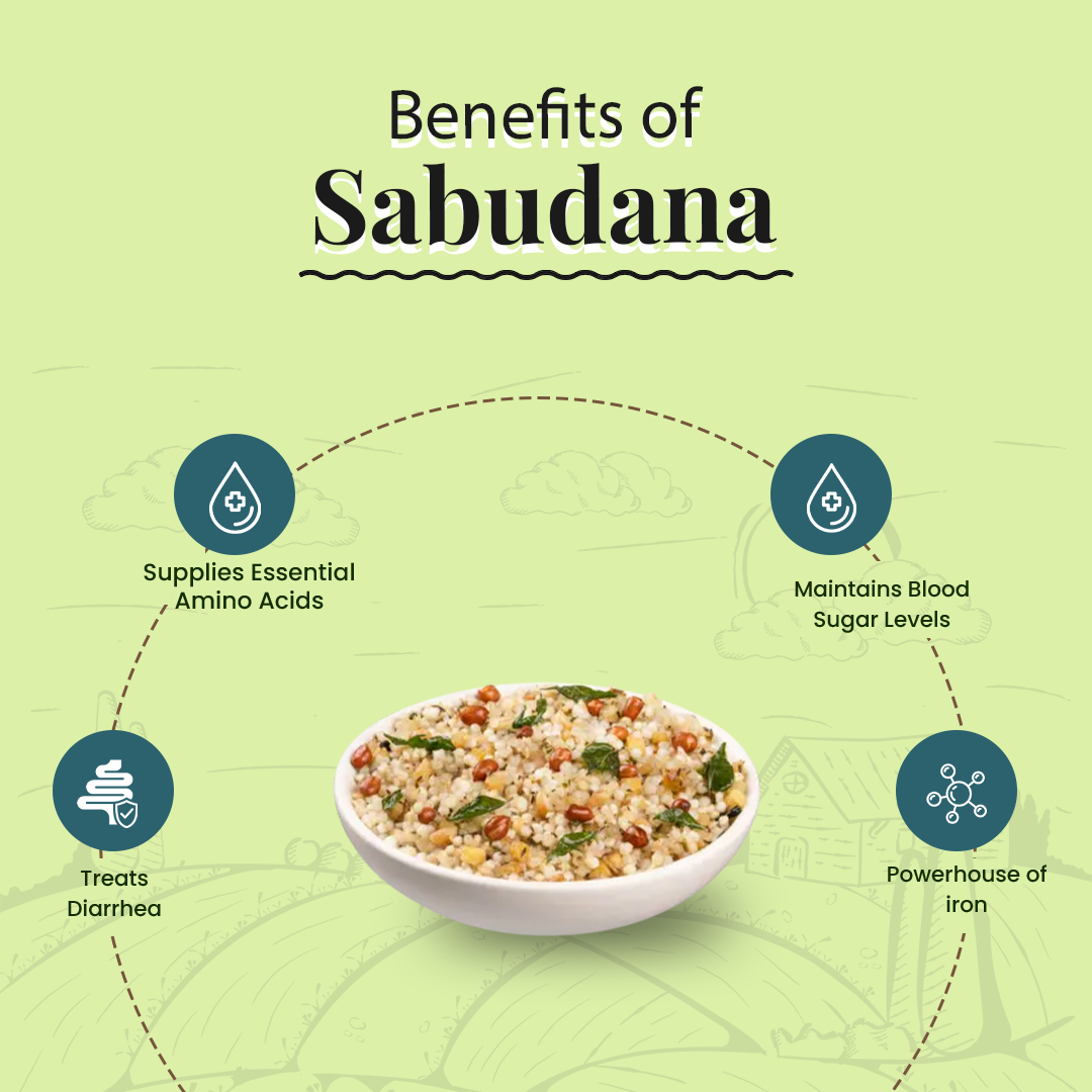 Sabudana - Evaa Naturals