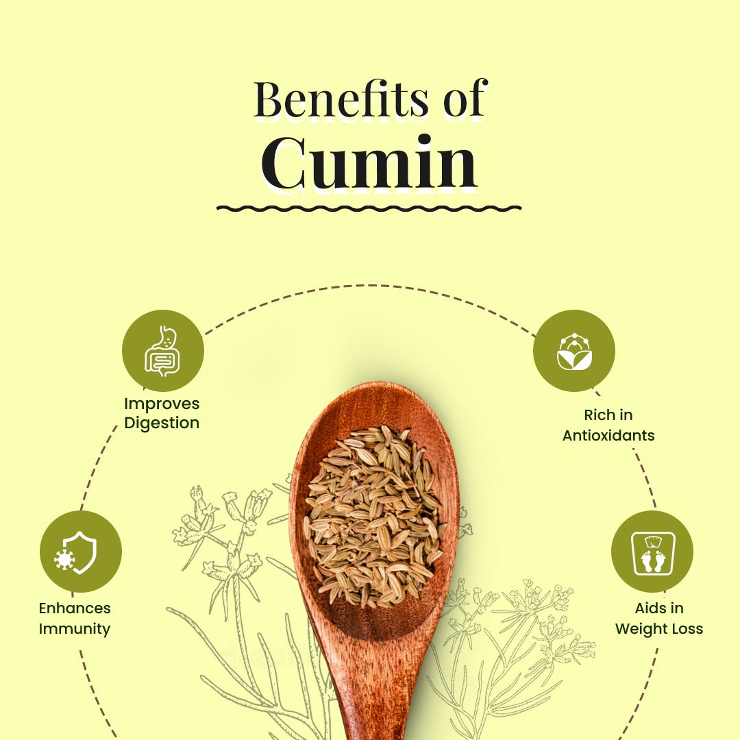 Cumin Seed - Evaa Naturals