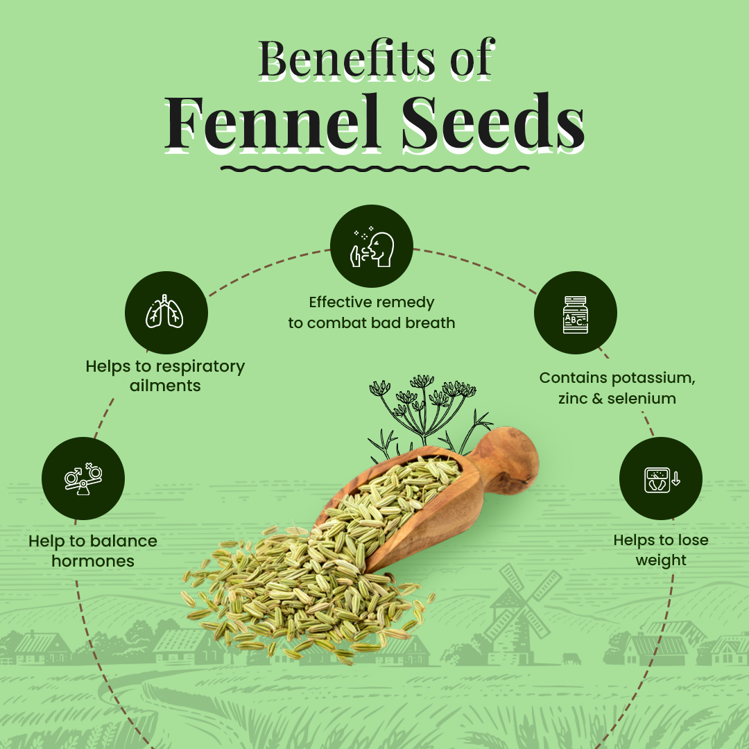 Fennel - Evaa Naturals